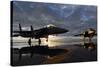 F-15 Strike Eagle Fighters at Mountain Home Air Force Base Idaho at Sunset, 2010-null-Stretched Canvas