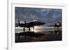 F-15 Strike Eagle Fighters at Mountain Home Air Force Base Idaho at Sunset, 2010-null-Framed Photo