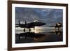 F-15 Strike Eagle Fighters at Mountain Home Air Force Base Idaho at Sunset, 2010-null-Framed Photo