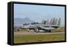 F-15D Baz from the Israeli Air Force at Decimomannu Air Base, Italy-Stocktrek Images-Framed Stretched Canvas