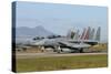 F-15D Baz from the Israeli Air Force at Decimomannu Air Base, Italy-Stocktrek Images-Stretched Canvas