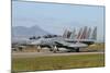 F-15D Baz from the Israeli Air Force at Decimomannu Air Base, Italy-Stocktrek Images-Mounted Photographic Print