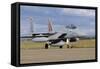 F-15D Baz from the Israeli Air Force-Stocktrek Images-Framed Stretched Canvas
