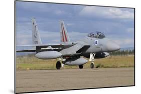 F-15D Baz from the Israeli Air Force-Stocktrek Images-Mounted Photographic Print