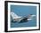 F-16 Fighting Falcon-Stocktrek Images-Framed Photographic Print