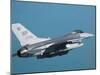 F-16 Fighting Falcon-Stocktrek Images-Mounted Photographic Print