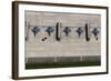 F-16 Fighting Falcons at Kunsan Air Base, South Korea-null-Framed Photographic Print