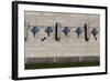 F-16 Fighting Falcons at Kunsan Air Base, South Korea-null-Framed Photographic Print