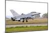 F-16A Mlu Falcon from the Royal Danish Air Force Landing at Grosseto Air Base-Stocktrek Images-Mounted Photographic Print