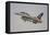 F-16B Fighting Falcon of the Royal Danish Air Force-Stocktrek Images-Framed Stretched Canvas