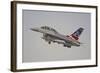 F-16B Fighting Falcon of the Royal Danish Air Force-Stocktrek Images-Framed Photographic Print