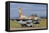 F-16B Netz from the Israeli Air Force at Decimomannu Air Base, Italy-Stocktrek Images-Framed Stretched Canvas