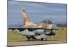 F-16B Netz from the Israeli Air Force at Decimomannu Air Base, Italy-Stocktrek Images-Mounted Photographic Print