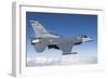 F-16C Fighting Falcon During a Sortie over Arizona-null-Framed Photographic Print