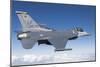 F-16C Fighting Falcon During a Sortie over Arizona-null-Mounted Photographic Print