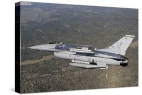 F-16C Fighting Falcon During a Sortie over Arizona-null-Stretched Canvas