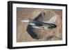 F-16C Fighting Falcon Flying Above Arizona's Meteor Crater-null-Framed Photographic Print