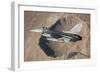 F-16C Fighting Falcon Flying Above Arizona's Meteor Crater-null-Framed Photographic Print