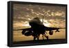 F-16C Fighting Falcon (Sunrise) Art Poster Print-null-Framed Poster