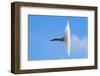 F-18 Super Hornet Vapor Cone - A Distinctive Vapor Cone Forms around the Jet as it Nears the Speed-SVSimagery-Framed Photographic Print