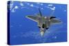 F-22 Raptor Fighter, with Stealth Technology Flies Near Guam, 2010-null-Stretched Canvas