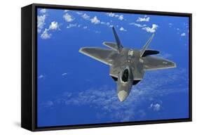 F-22 Raptor Fighter, with Stealth Technology Flies Near Guam, 2010-null-Framed Stretched Canvas