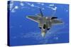 F-22 Raptor Fighter, with Stealth Technology Flies Near Guam, 2010-null-Stretched Canvas