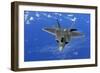 F-22 Raptor Fighter, with Stealth Technology Flies Near Guam, 2010-null-Framed Photo