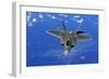 F-22 Raptor Fighter, with Stealth Technology Flies Near Guam, 2010-null-Framed Photo