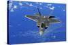 F-22 Raptor Fighter, with Stealth Technology Flies Near Guam, 2010-null-Stretched Canvas