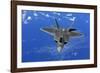 F-22 Raptor Fighter, with Stealth Technology Flies Near Guam, 2010-null-Framed Photo