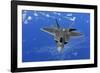 F-22 Raptor Fighter, with Stealth Technology Flies Near Guam, 2010-null-Framed Photo