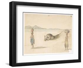 F.3 16 Mouse. Inhabitants Probably of St. Jago. on Back: Octopus. ‘Belly of the Same Fish. the Sket-William Alexander-Framed Premium Giclee Print