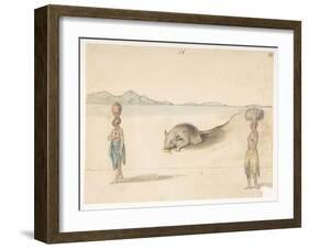 F.3 16 Mouse. Inhabitants Probably of St. Jago. on Back: Octopus. ‘Belly of the Same Fish. the Sket-William Alexander-Framed Giclee Print