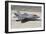 F-35B on the Flight Line Nellis Air Force Base, Nevada-Stocktrek Images-Framed Photographic Print