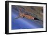 F-5 Tiger Ii Flying Out of Nellis Air Force Base, Nevada-Stocktrek Images-Framed Photographic Print