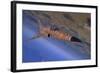 F-5 Tiger Ii Flying Out of Nellis Air Force Base, Nevada-Stocktrek Images-Framed Photographic Print