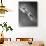 F-86 Jet Fighter Plane-null-Giclee Print displayed on a wall