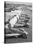 F-86 Sabre Jets on the Flight Line Getting Ready for Combat, June 1951-null-Stretched Canvas