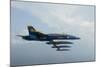 F-A-18 Hornets from the U.S. Navy Blue Angels Team-null-Mounted Photographic Print