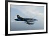 F-A-18 Hornets from the U.S. Navy Blue Angels Team-null-Framed Photographic Print