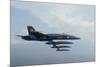 F-A-18 Hornets from the U.S. Navy Blue Angels Team-null-Mounted Photographic Print