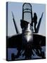 F/A-18F Super Hornet-Stocktrek Images-Stretched Canvas