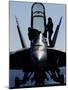 F/A-18F Super Hornet-Stocktrek Images-Mounted Photographic Print