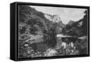 Framed Canvas