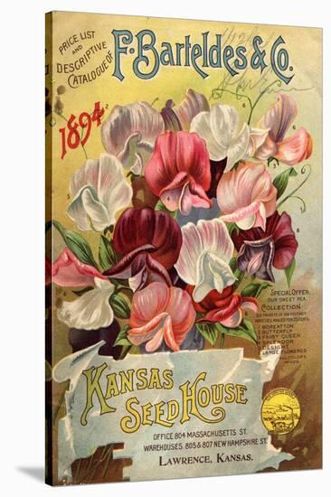 F. Barteldes and Co. Kansas Seed House-null-Stretched Canvas