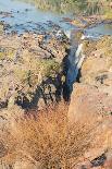 Epupa Waterfalls Closeup-F.C.G.-Photographic Print