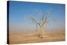 Stretched Canvas