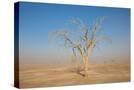 Stretched Canvas