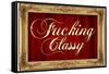 F*cking Classy Faux Frame-null-Framed Stretched Canvas